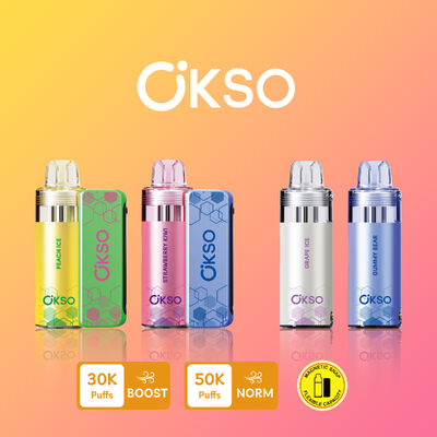 OKSO Switch Kit 50K Disposable Vape with Dual Mesh Coil and Rechargeable Power Bank for 50,000 Puffs